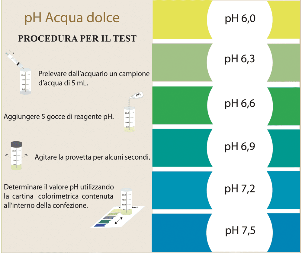 istruzioni del test per la misurazione del ph in acquario tropicale